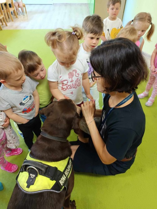 Dogoterapia-1.jpg