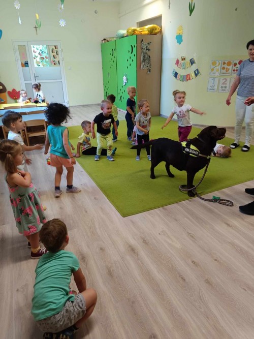Dogoterapia-10.jpg