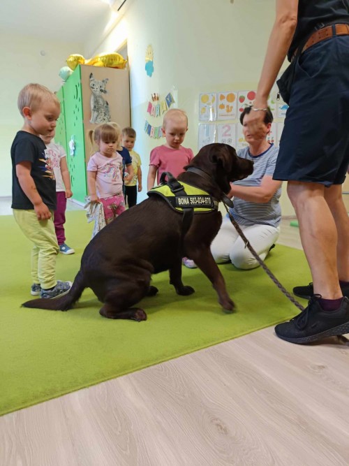 Dogoterapia-11.jpg
