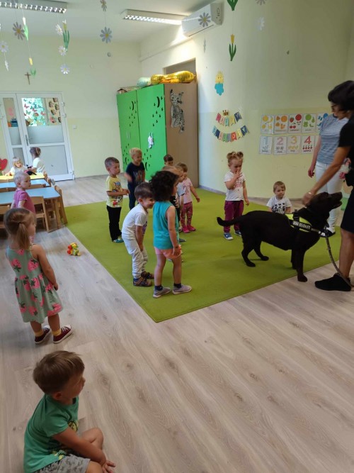 Dogoterapia-14.jpg