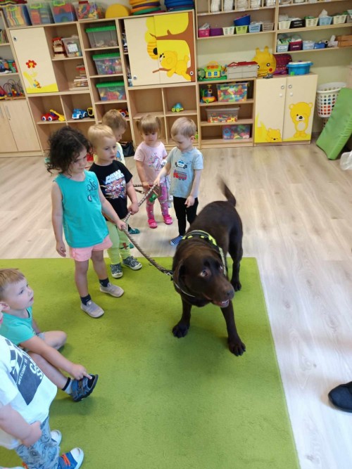 Dogoterapia-17.jpg