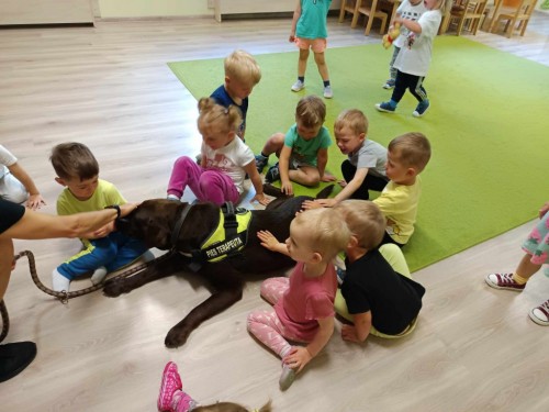 Dogoterapia-20.jpg