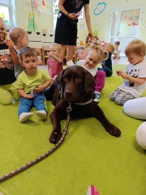 Dogoterapia-22.jpg