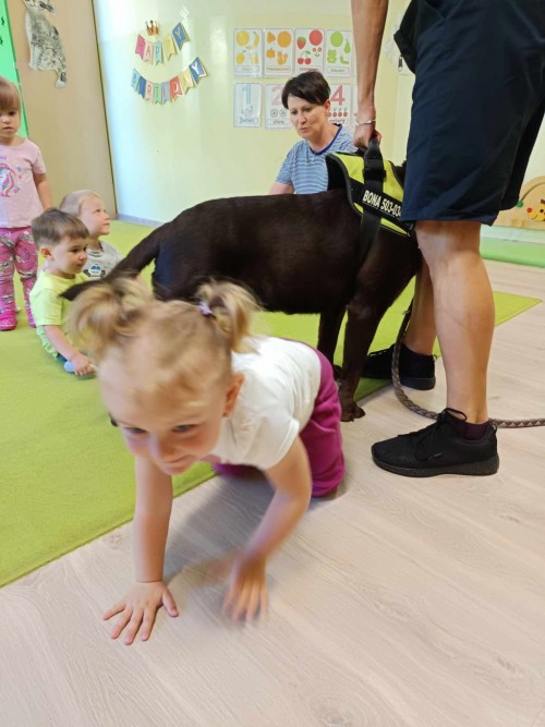Dogoterapia-23.jpg