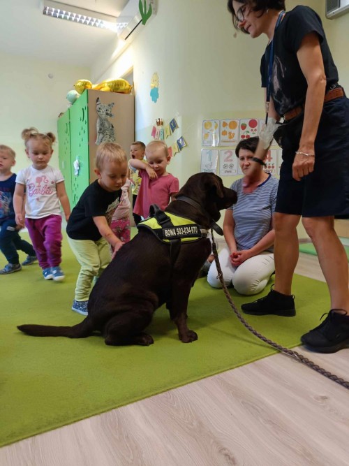 Dogoterapia-26.jpg