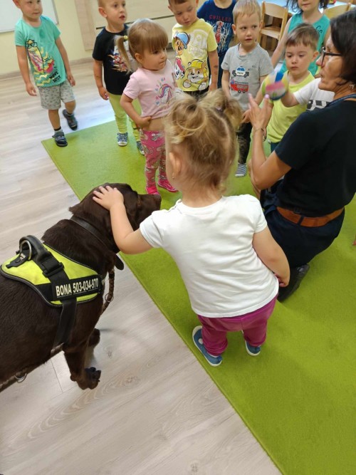 Dogoterapia-29.jpg