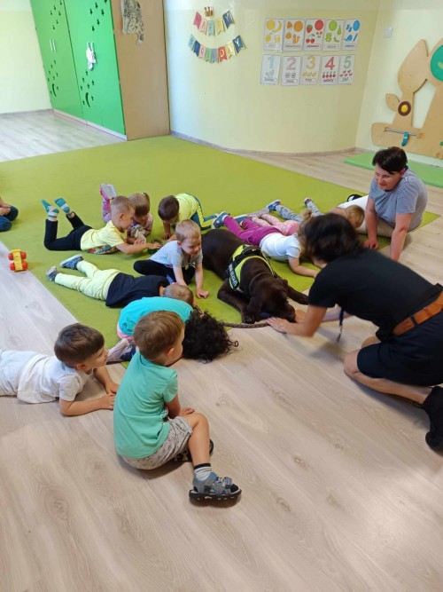 Dogoterapia-3.jpg
