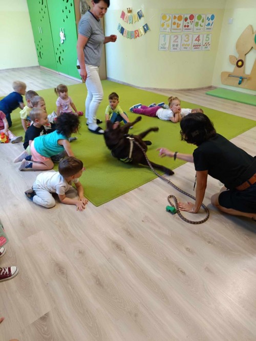 Dogoterapia-30.jpg