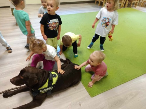 Dogoterapia-31.jpg