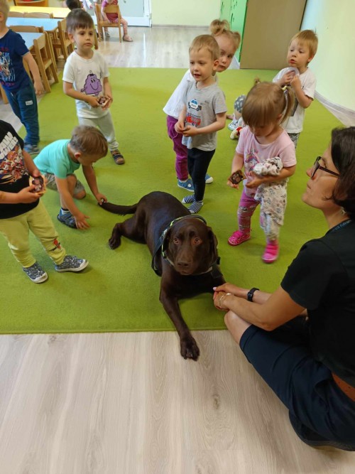 Dogoterapia-32.jpg