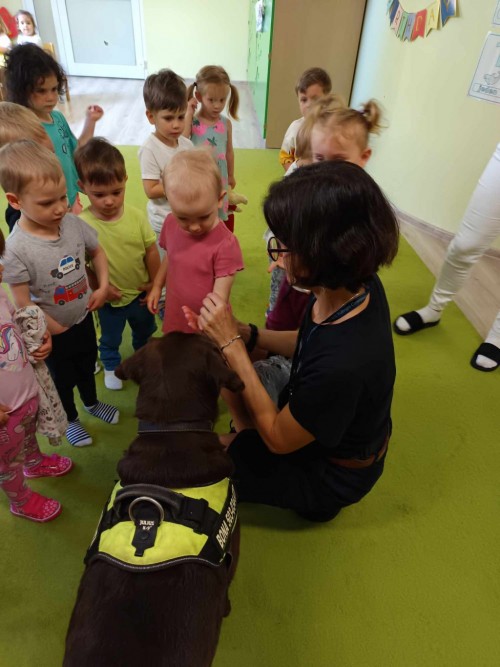 Dogoterapia-35.jpg