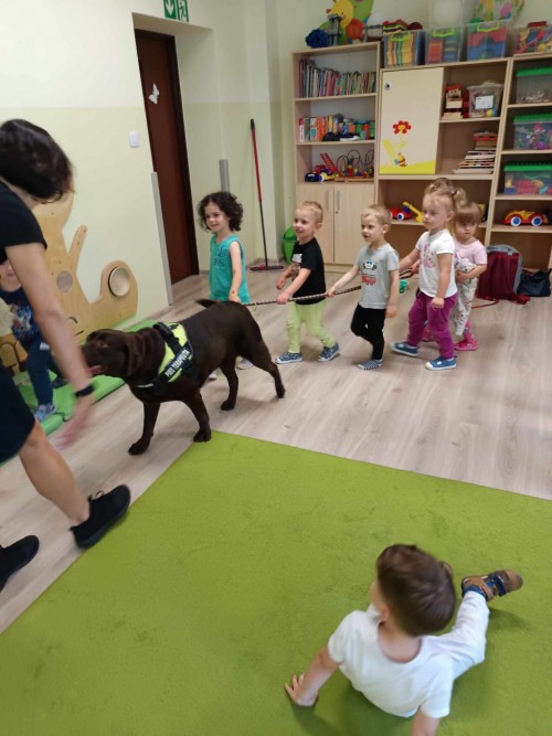 Dogoterapia-38.jpg