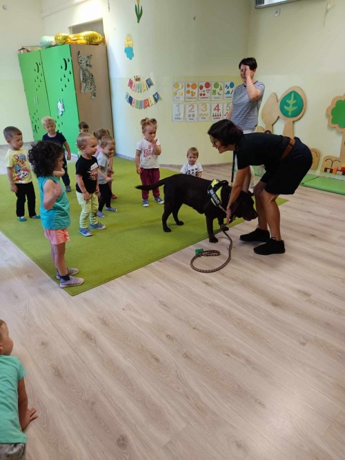 Dogoterapia-39.jpg