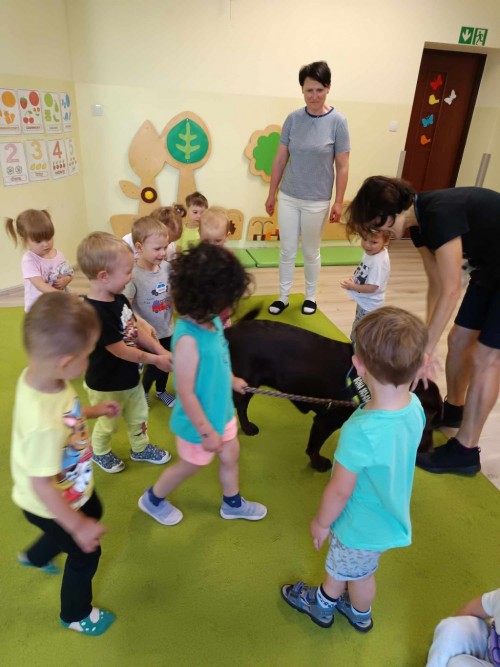 Dogoterapia-6.jpg