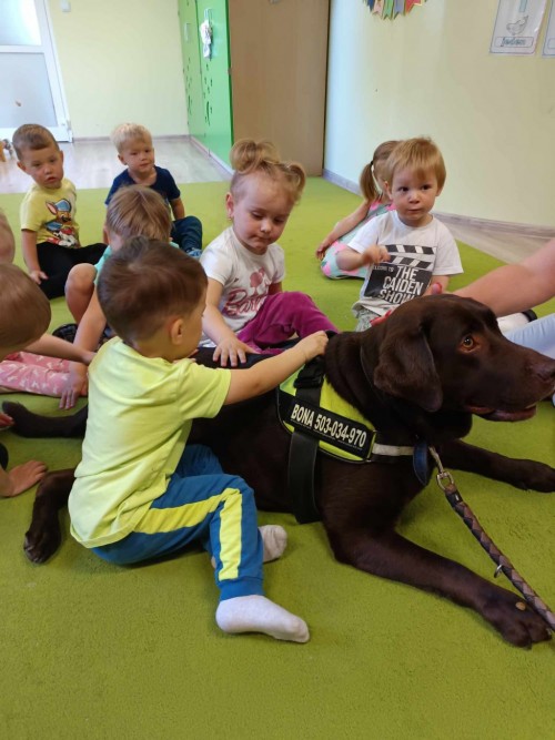 Dogoterapia-7.jpg