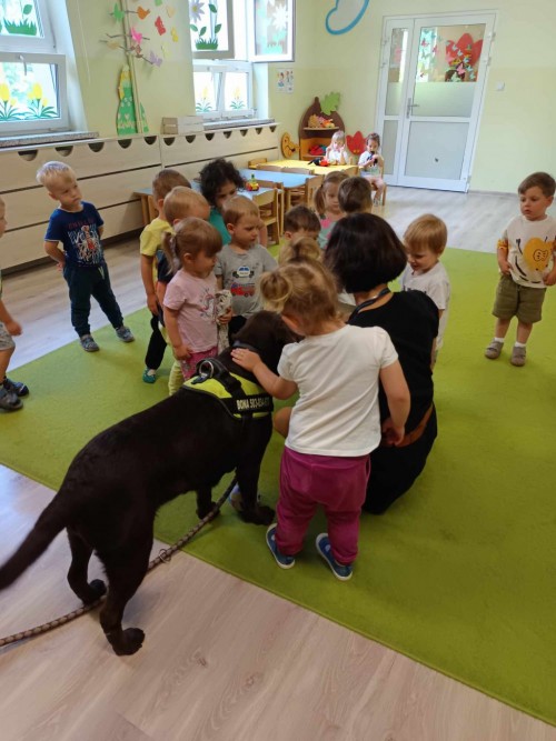 Dogoterapia-8.jpg