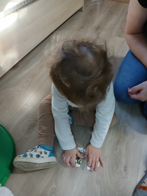 Dzień puzzli (14)