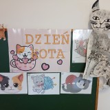 Dzien-kota-49