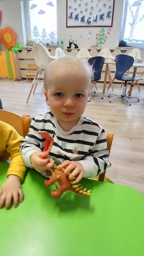 Dzien-dinozaura-10013ea0c64efa2d4f.jpg