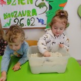 Dzien-dinozaura-10cf3b2c87c761c3df