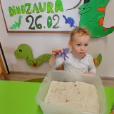 Dzien-dinozaura-12da7ce40c03bb9dfb