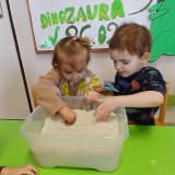Dzien-dinozaura-2315eeff9d4576caf9
