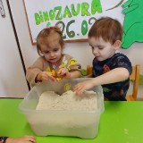 Dzien-dinozaura-2450855984e92619a7