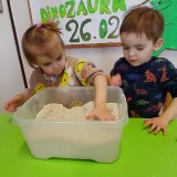 Dzien-dinozaura-271a158b832100ddf9