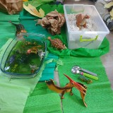 Dzien-dinozaura-9