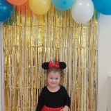 Bal-karnawalowy-10e9011d877930ea4