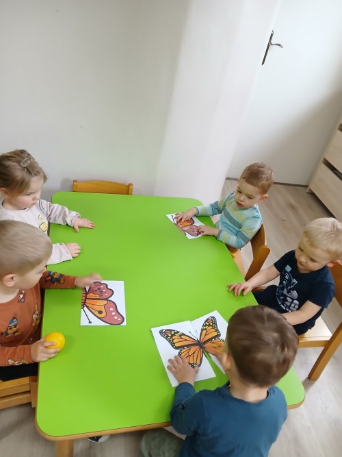 Dzień Motyla (17)