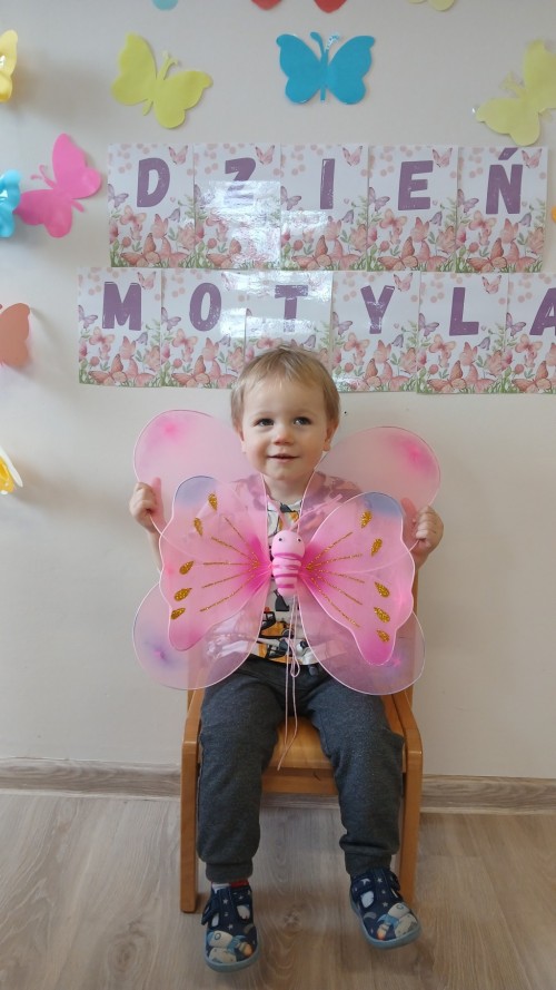 Dzien-Motyla-1.jpg