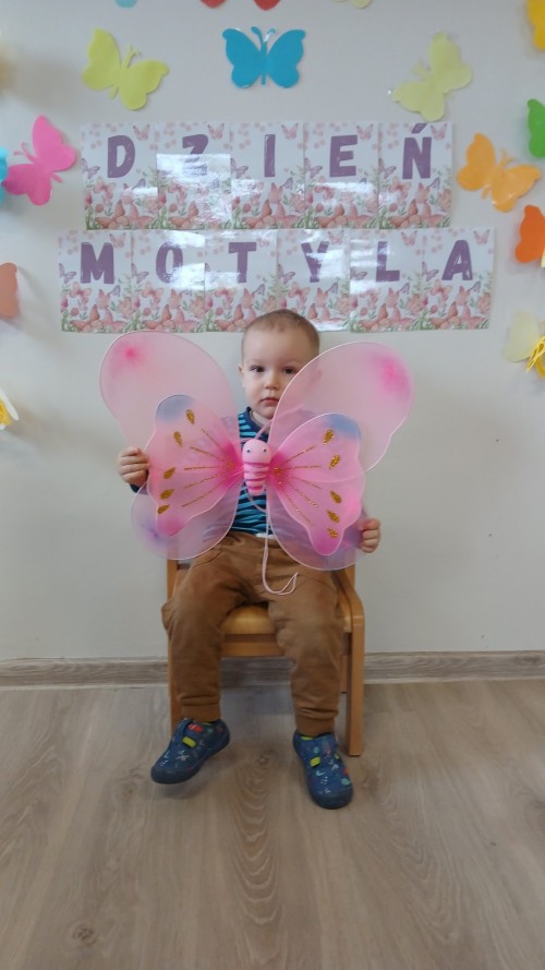 Dzien-Motyla-2.jpg