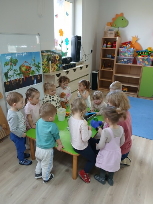Zakładamy ogródek (34)