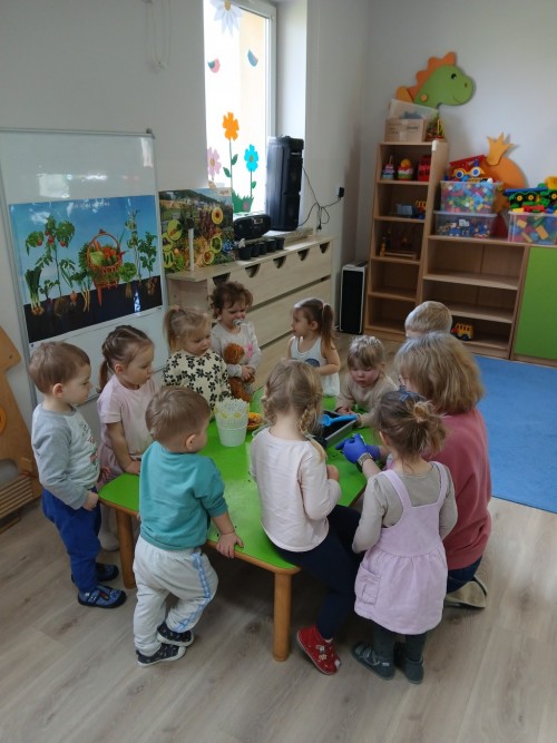 Zakładamy ogródek (35)