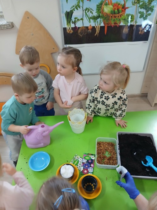 Zakładamy ogródek (36)