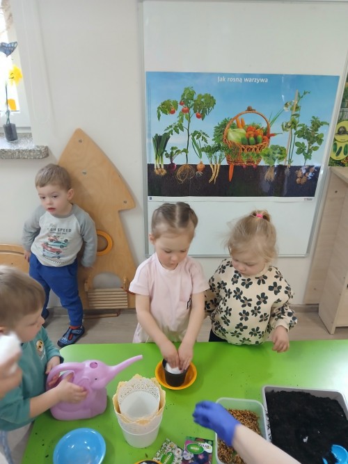 Zakładamy ogródek (38)
