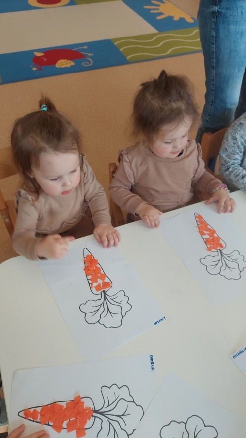 dzien-marchewki-12.jpg