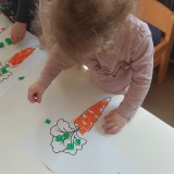 dzien-marchewki-14