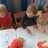 dzien-marchewki-4