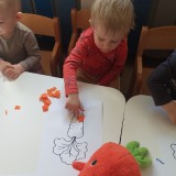 dzien-marchewki-5