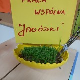 Wielkanoc-77357127ed989a267