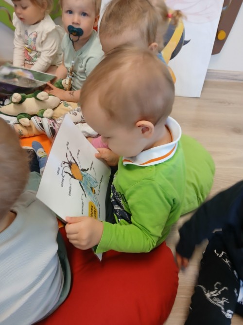 Dzien-Pszczoly-3b33a9fe53a47f93f.jpg